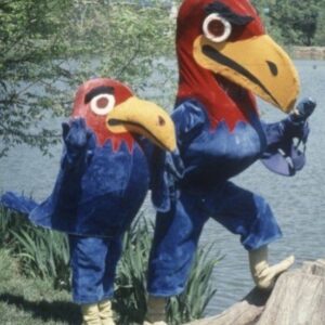 1972 Jayhawk Mascots