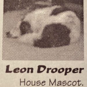 1972 Leon Drooper